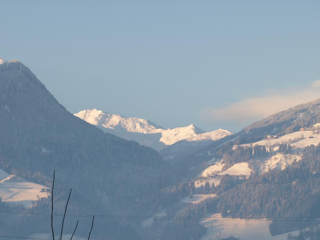 Lanser Apartament